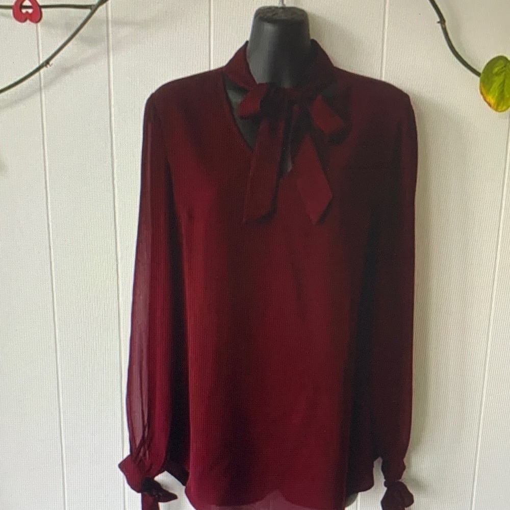 Elegant Burgundy Long Sleeve Blouse